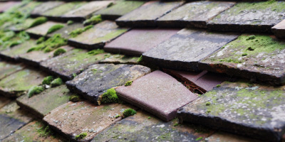 Winwick roof repair costs